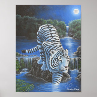 Pôster Tirador Branco