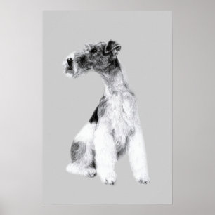 Poster Tiragem do Fox Terrier