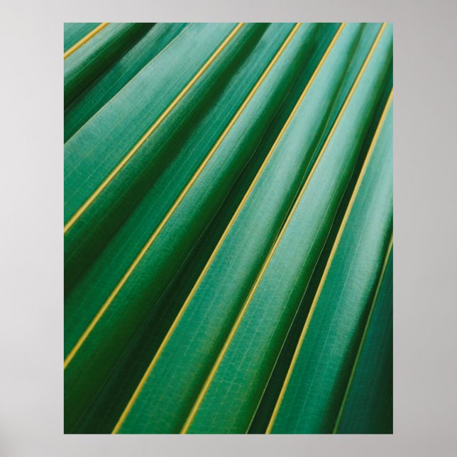 Poster Tiras de plantas de textura verde (Frente)