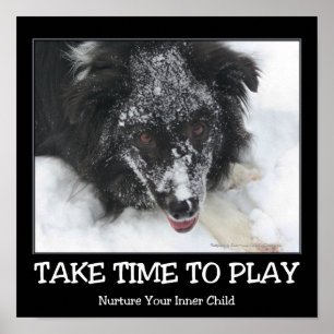 Pôster Tire Tempo Para Brincar Border Collie Inspirador