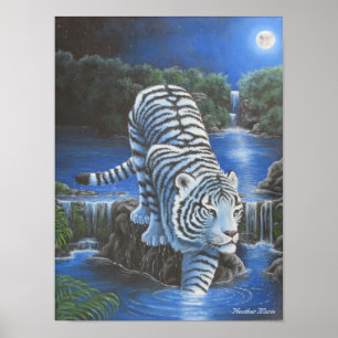 Pôster Tirger branco