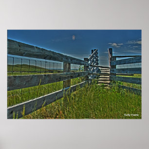 Pôster Tiro do gado do Eyrie do Crag