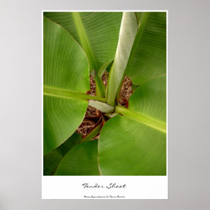 Pôster Tiros de Tensão