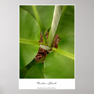 Pôster Tiros de Tensão