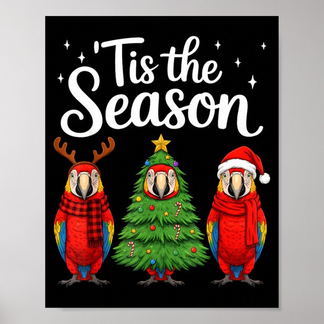 Poster Tis The Season Let Macaw Christmas Santa Parrot  (Frente)