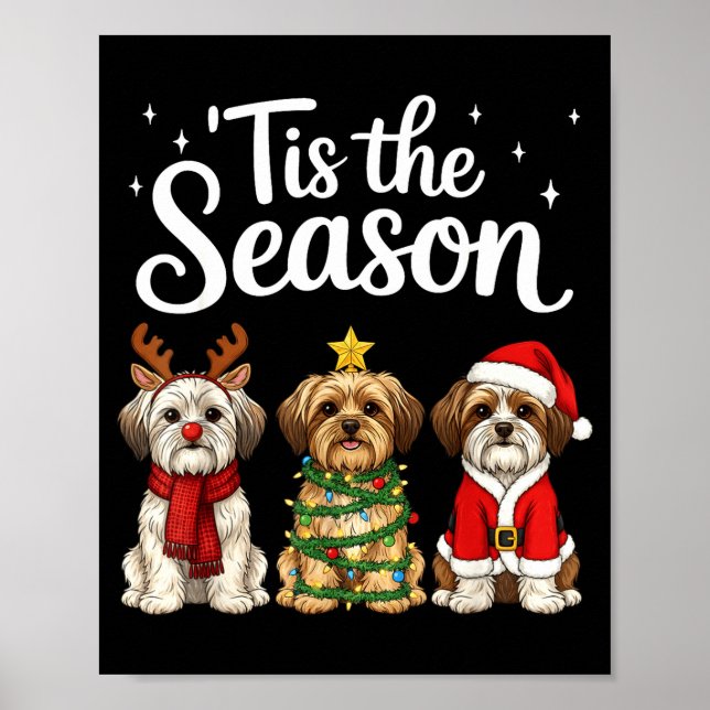 Poster Tis The Season Morkie Christmas Santa Dog Lover  (Frente)