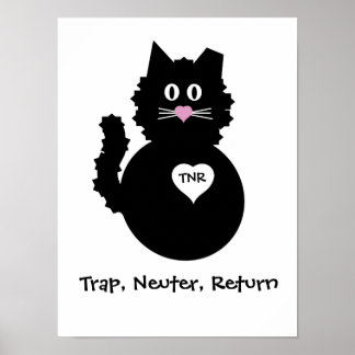 Poster TNR - Gatinho do Felpudo