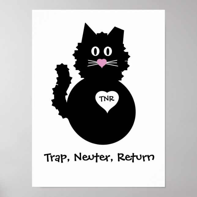 Poster TNR - Gatinho do Felpudo (Frente)