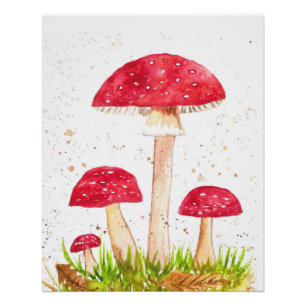 Pôster Toadool Mushroom Floresta aquarela Vermelha Nature