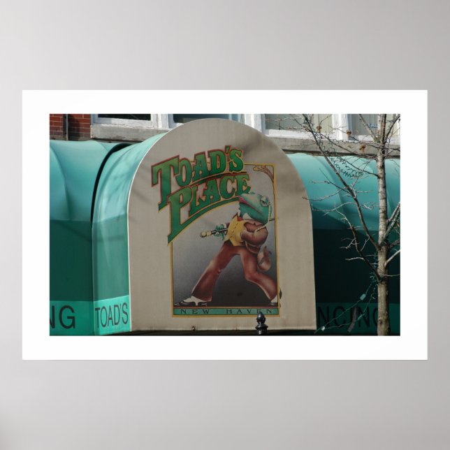 Poster Toads Place (Frente)