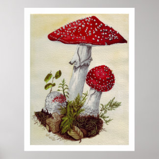 Poster Toadstool