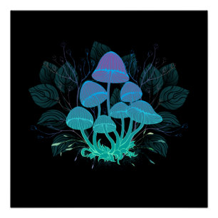 Pôster Toadstools em arbustos