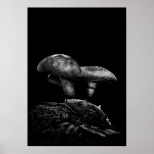 Poster Toadstools Num Rastreio N.O 5