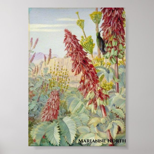 Poster Tocar-me não Flores e Aves de Açúcar, Tulbagh (Frente)