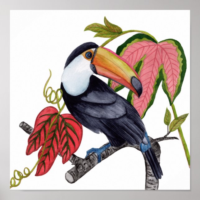 Poster Toco Toucan (Frente)