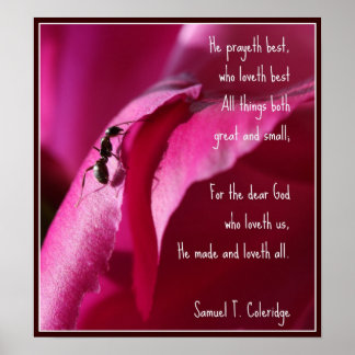 Poster Todas as criações, Excelente e pequeno