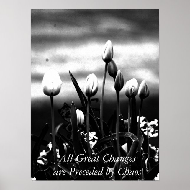 Pôster Todas as mudanças de Excelente (Frente)