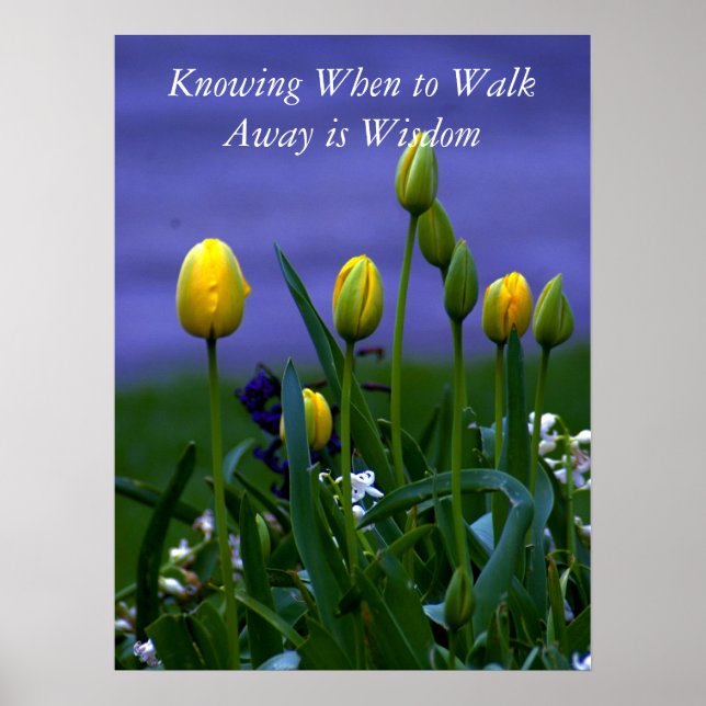 Pôster Todas as mudanças de Excelente I (Frente)