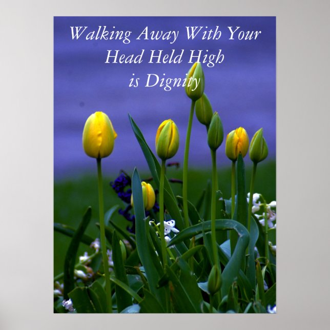 Pôster Todas as mudanças de Excelente III (Frente)