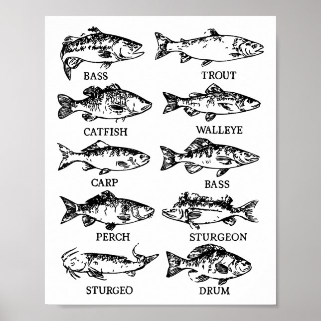 Poster Todler Água fresca Peixe Engraçado Pescadores Home (Frente)
