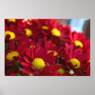 Pôster Todo mundo tem uma Mãe