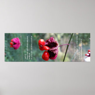 Poster Todo o conjunto de coisas