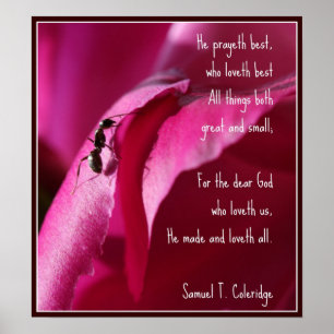 Poster Todo o excelente das criaturas e pequeno