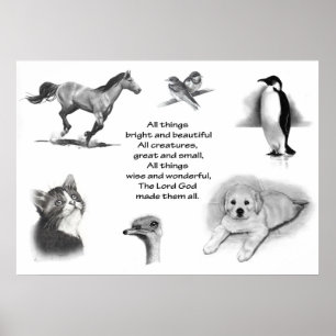 PÔSTER TODO O EXCELENTE DAS CRIATURAS & PEQUENO: DESENHOS