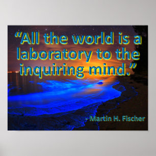Poster Todo o mundo é um laboratório