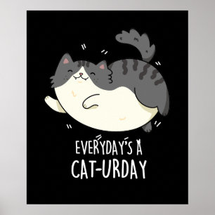 Poster Todos os dias é um gato engraçado e engraçado