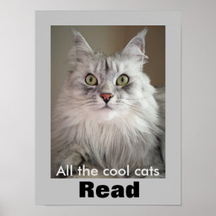 Poster Todos os gatos legal lidos (poster da instrução)
