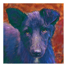 todos os mudos americanos