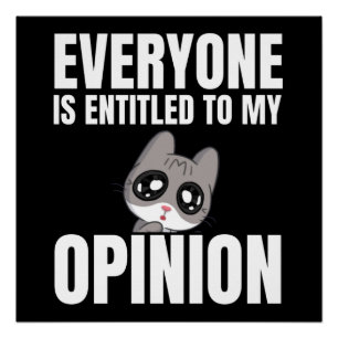 Pôster Todos têm direito a minha opinião Poster brilhante