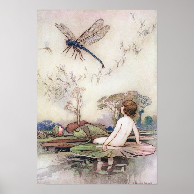 Pôster Tom encontra a Dragonfly de Warwick Goble (Frente)