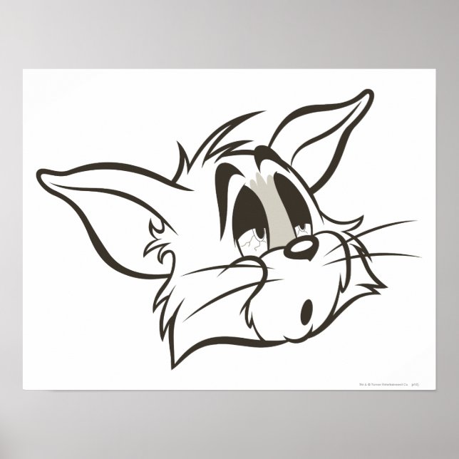 Pôster Tom Sleepy Cat (Frente)