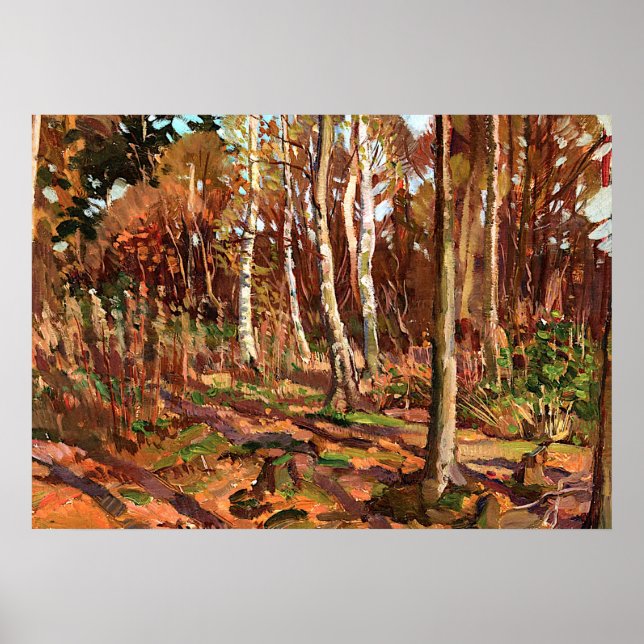 Pôster Tom Thomson - Vista do Parque Algonquin (Frente)