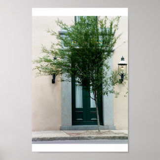 Pôster tomada a cargo pela natureza