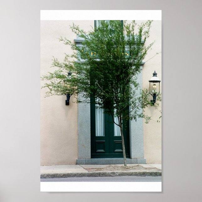 Pôster tomada a cargo pela natureza (Frente)