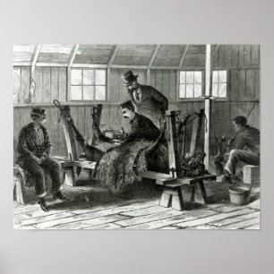 Pôster Tomando o vírus da vitela