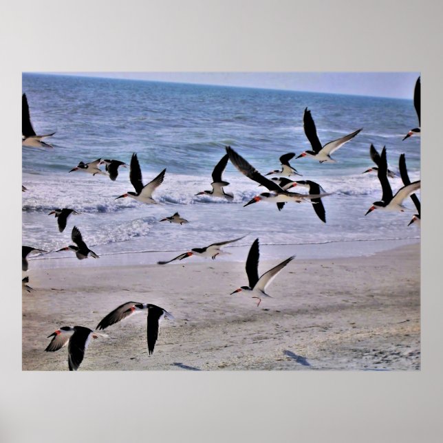 Poster Tomando Voo (Frente)