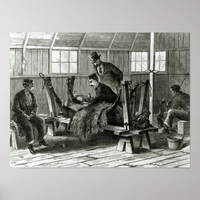 Pôster Tomar vírus do vitelo (Frente)