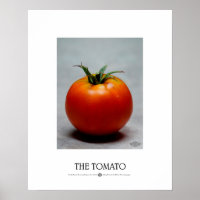 Tomate