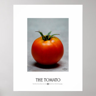 Pôster Tomate