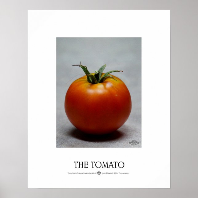 Pôster Tomate (Frente)