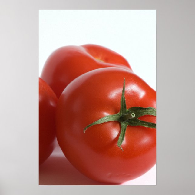 Pôster Tomate (Frente)