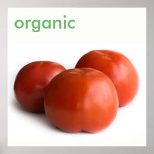 Pôster Tomate de madre
