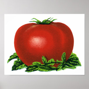 Poster Tomate de madre, vegetais e Frutas