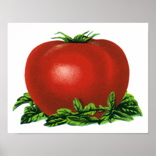 Poster Tomate de madre, vegetais e Frutas