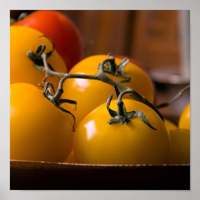 Poster Tomate fresco (Frente)