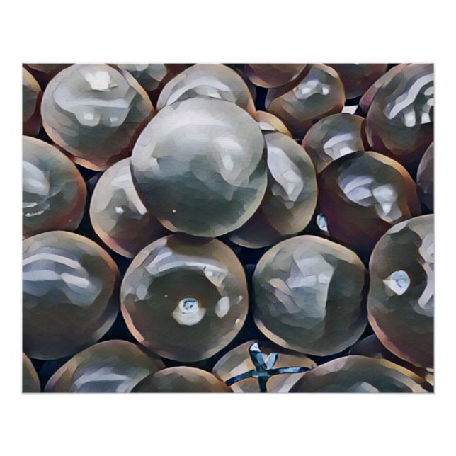 PÔSTER TOMATES (Frente)